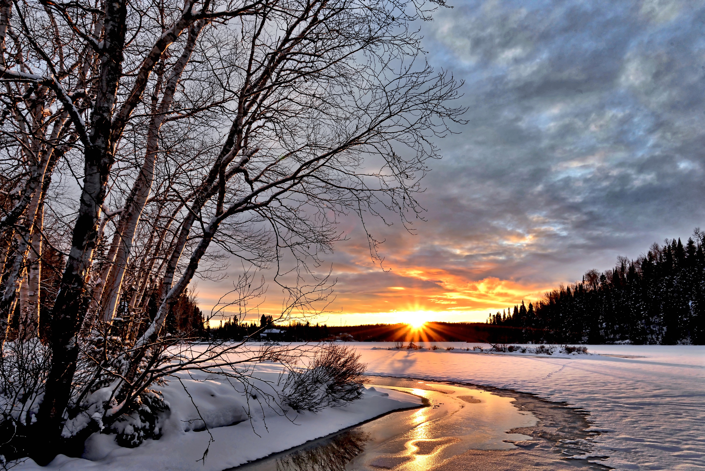 Dawning Winter Landscape